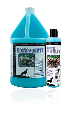 SHAMPOO DOWN´N DIRTY