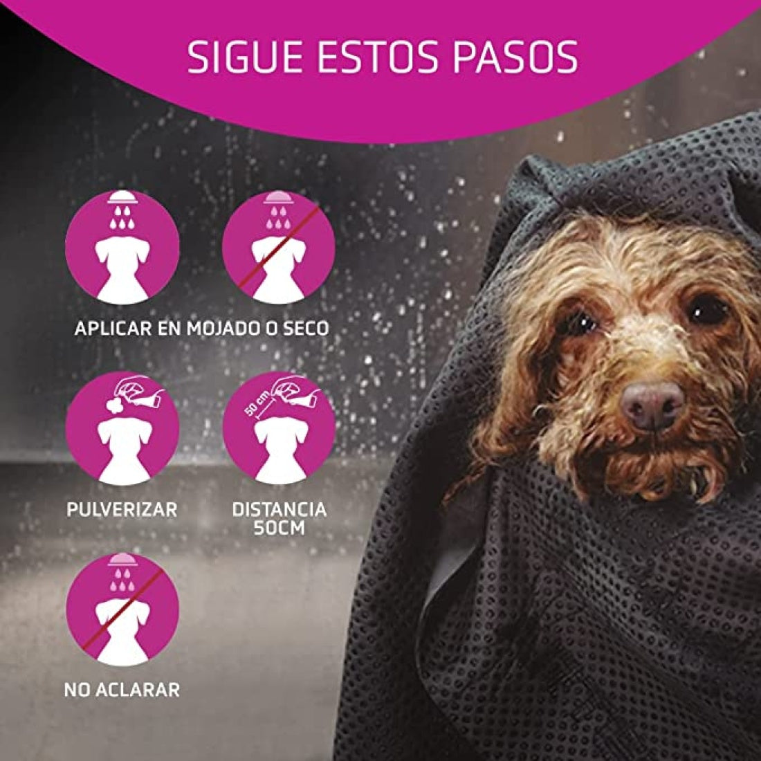 Acondicionador Flash 300 mL