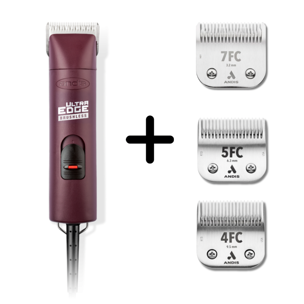 PACK INICO AGC2 BURDEO