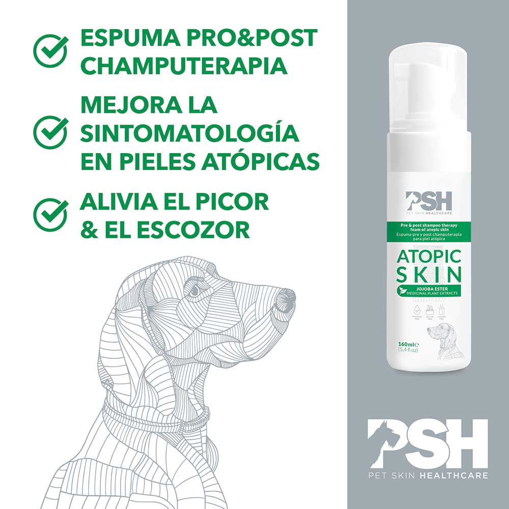 ESPUMA ATOPIC SKIN 160 ML
