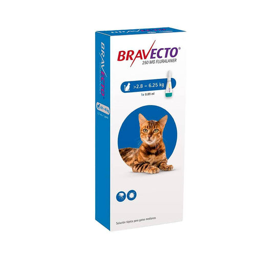 BRAVECTO GATO DE 2.8 A 6.25 KILOS.