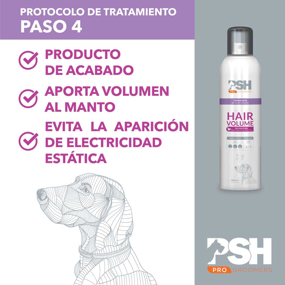 HAIR VOLUMEN SPRAY