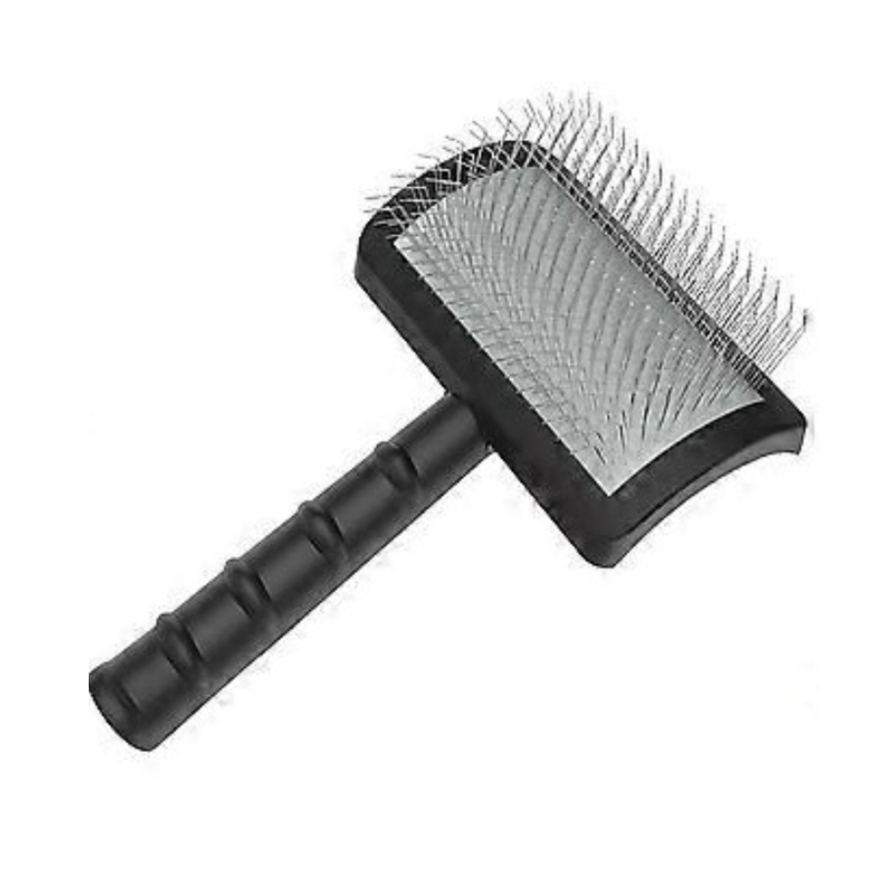 CARDA KISS PÚA LARGA