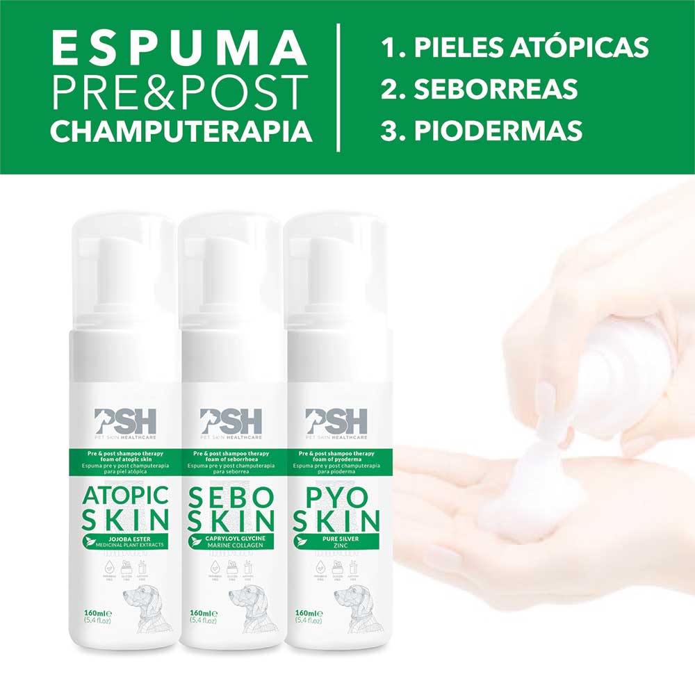 ESPUMA SEBO SKIN 160 ML