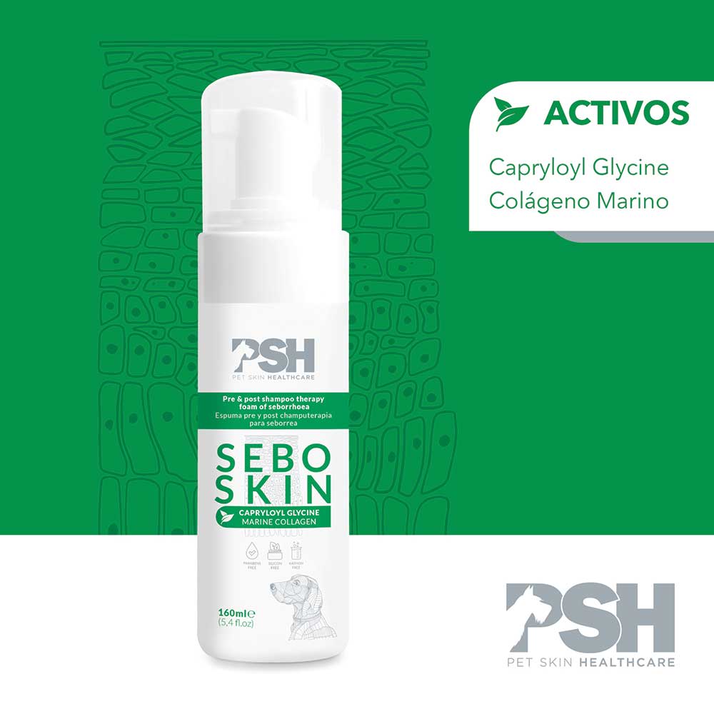 ESPUMA SEBO SKIN 160 ML