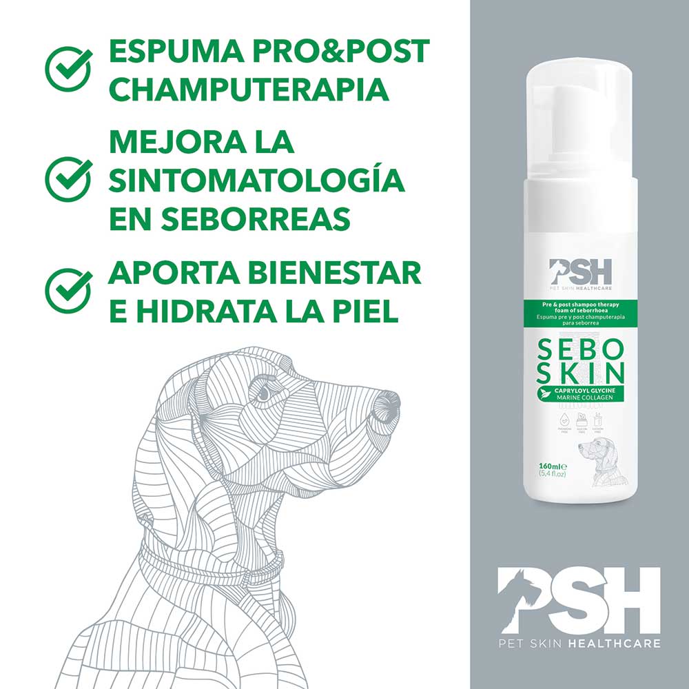 Sebo Skin ESPUMA SEBO SKIN 160 ML – misregalones