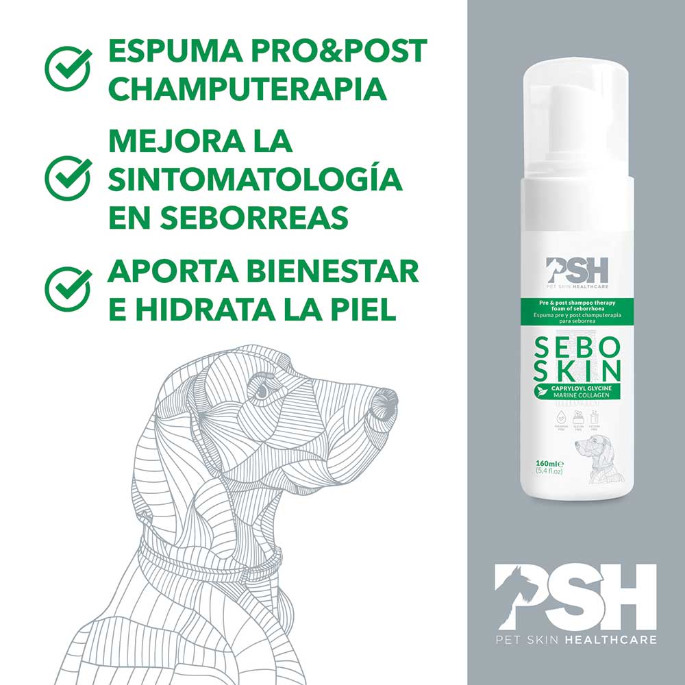 ESPUMA SEBO SKIN 160 ML