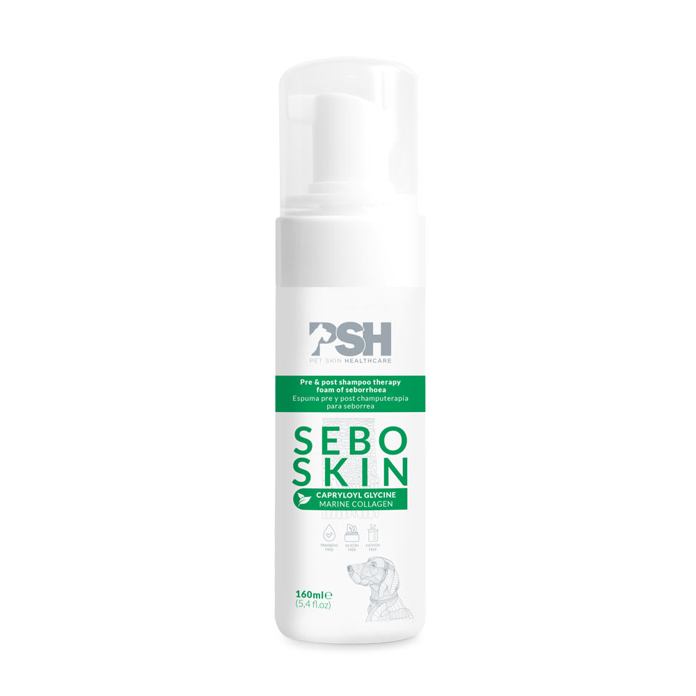 ESPUMA SEBO SKIN 160 ML