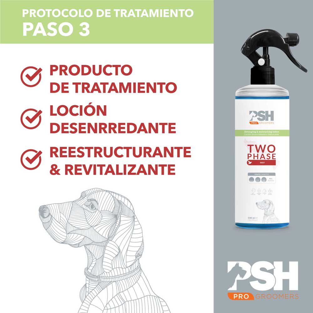 TWO PHASE - ACONDICIONADOR BIFÁSICO PSH 500 ML