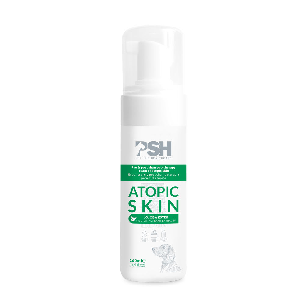 ESPUMA ATOPIC SKIN 160 ML