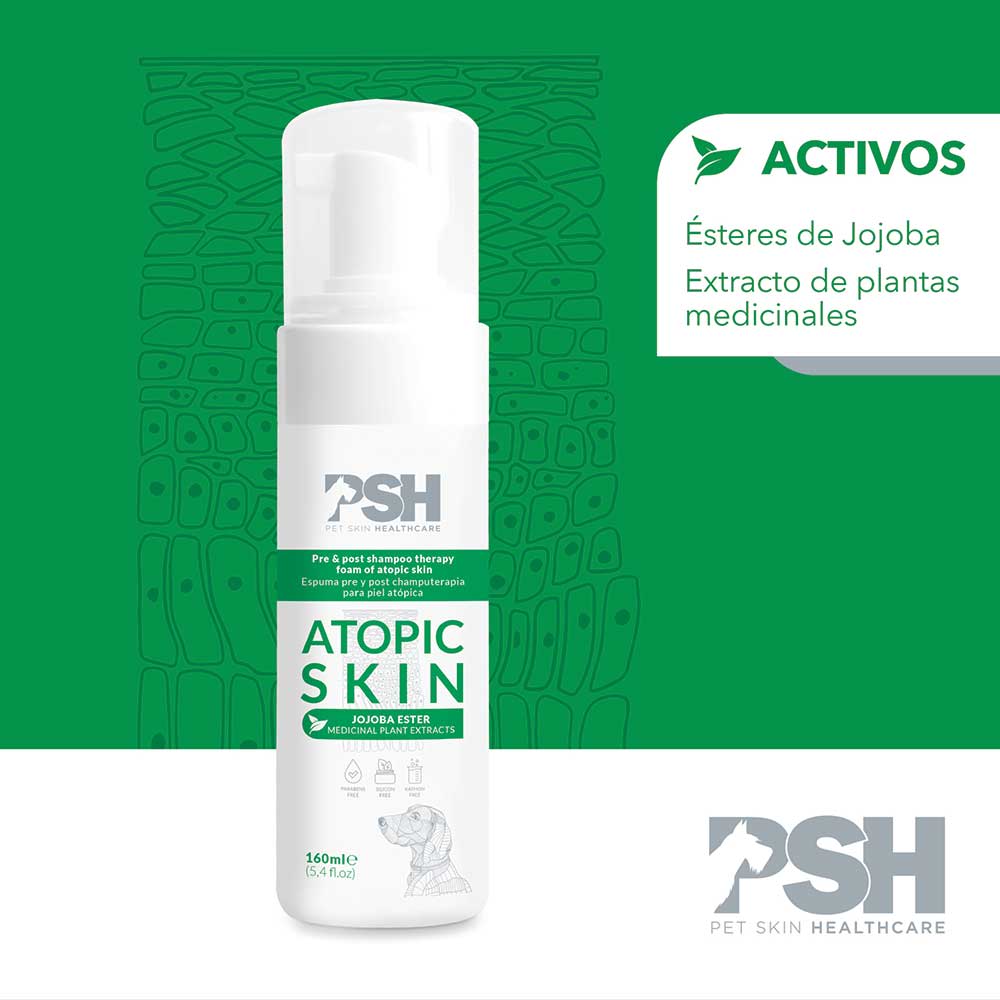 ESPUMA ATOPIC SKIN 160 ML