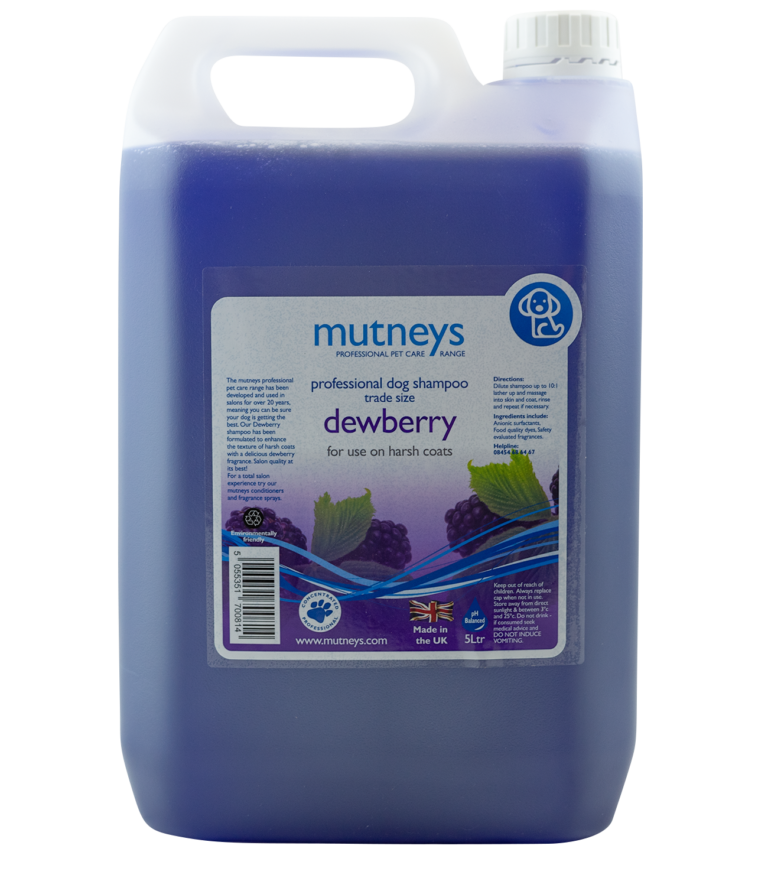 Dewberry Shampoo 5 Litros