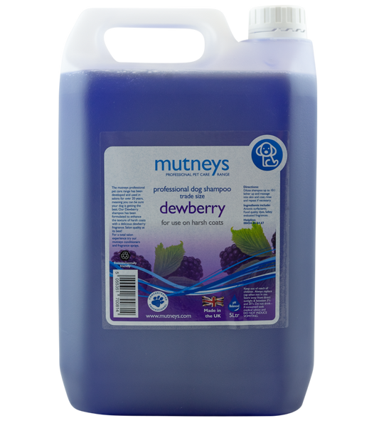 Dewberry Shampoo 5 Litros